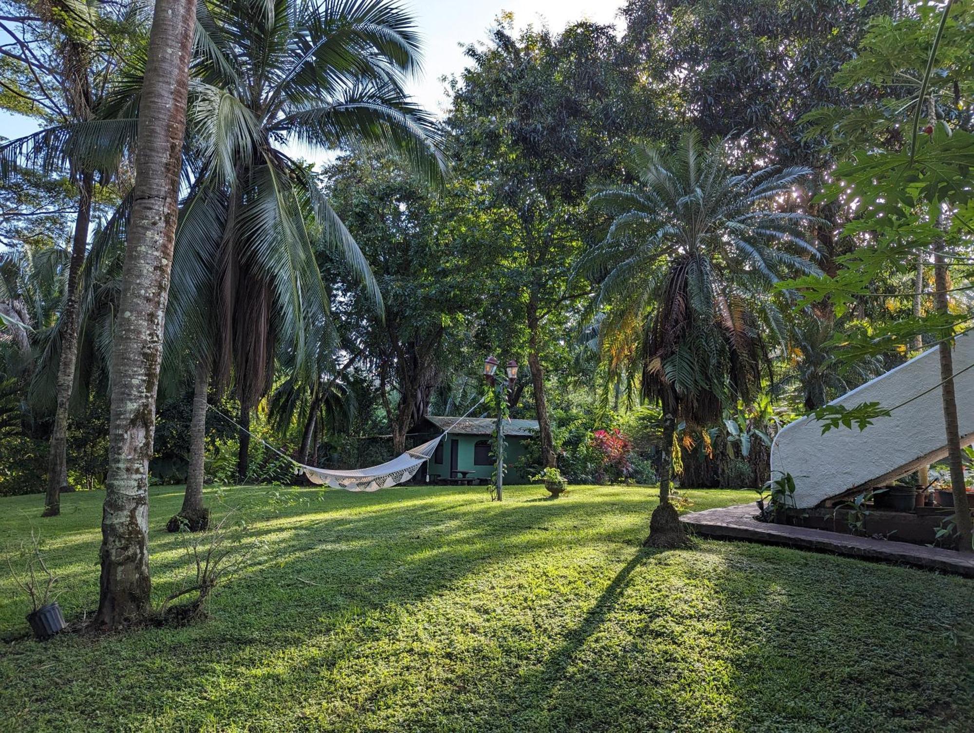 Spirit Of Jungle Lodge Samara Exterior photo