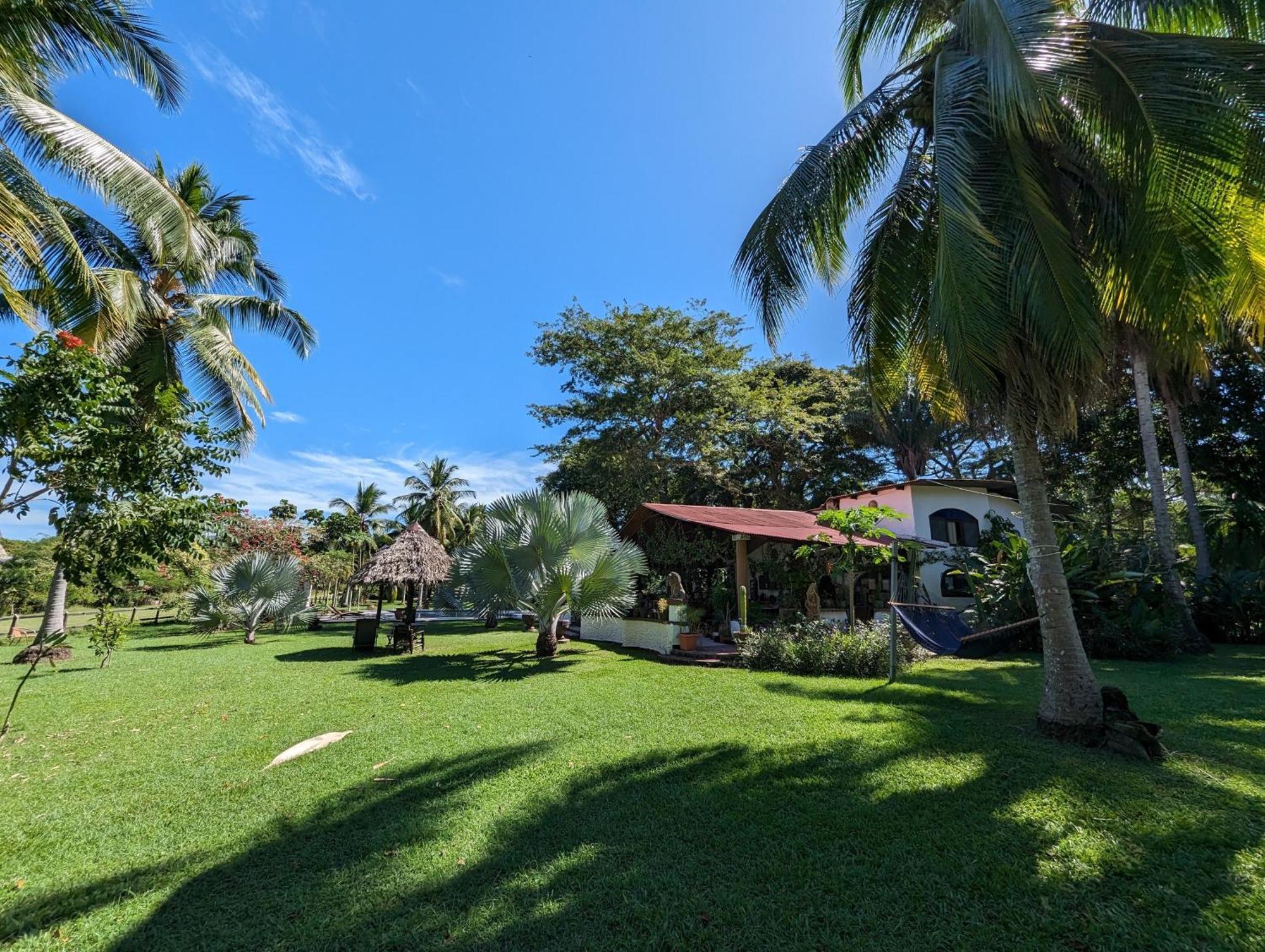 Spirit Of Jungle Lodge Samara Exterior photo